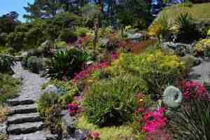 Bronx Injury Lawyers, P.C.