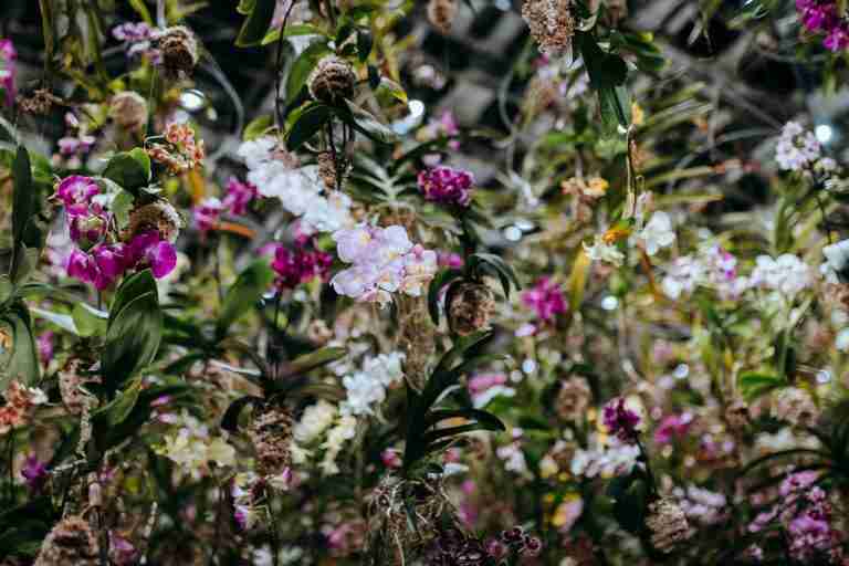 Bronx personal injury attorney